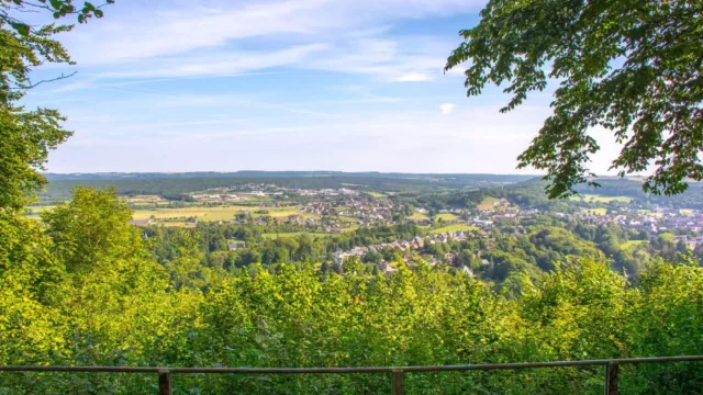 Vue panoramique du Rond du Roi, offrant un large aperçu de la ville de Rochefort en pleine nature, avec des collines verdoyantes, des forêts et un ciel dégagé. L'horizon s'étend à perte de vue, capturant la beauté naturelle de la région.